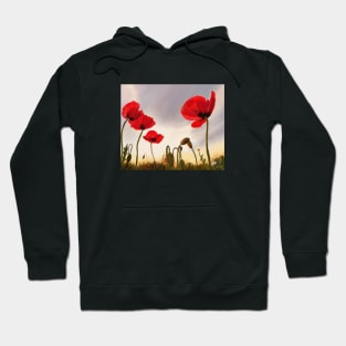 Poppies Hoodie